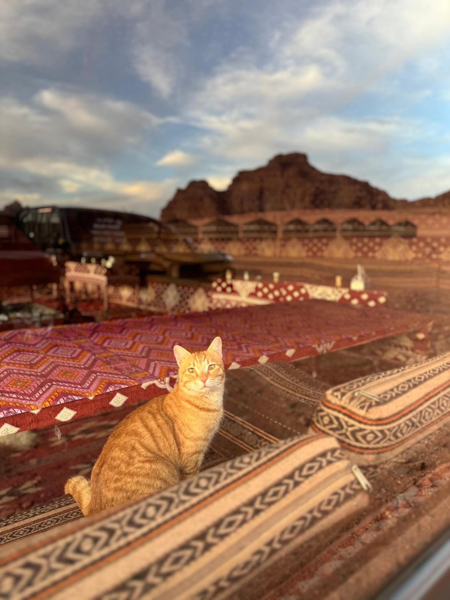 Desert Bird Camp ワディ ・ラム エクステリア 写真