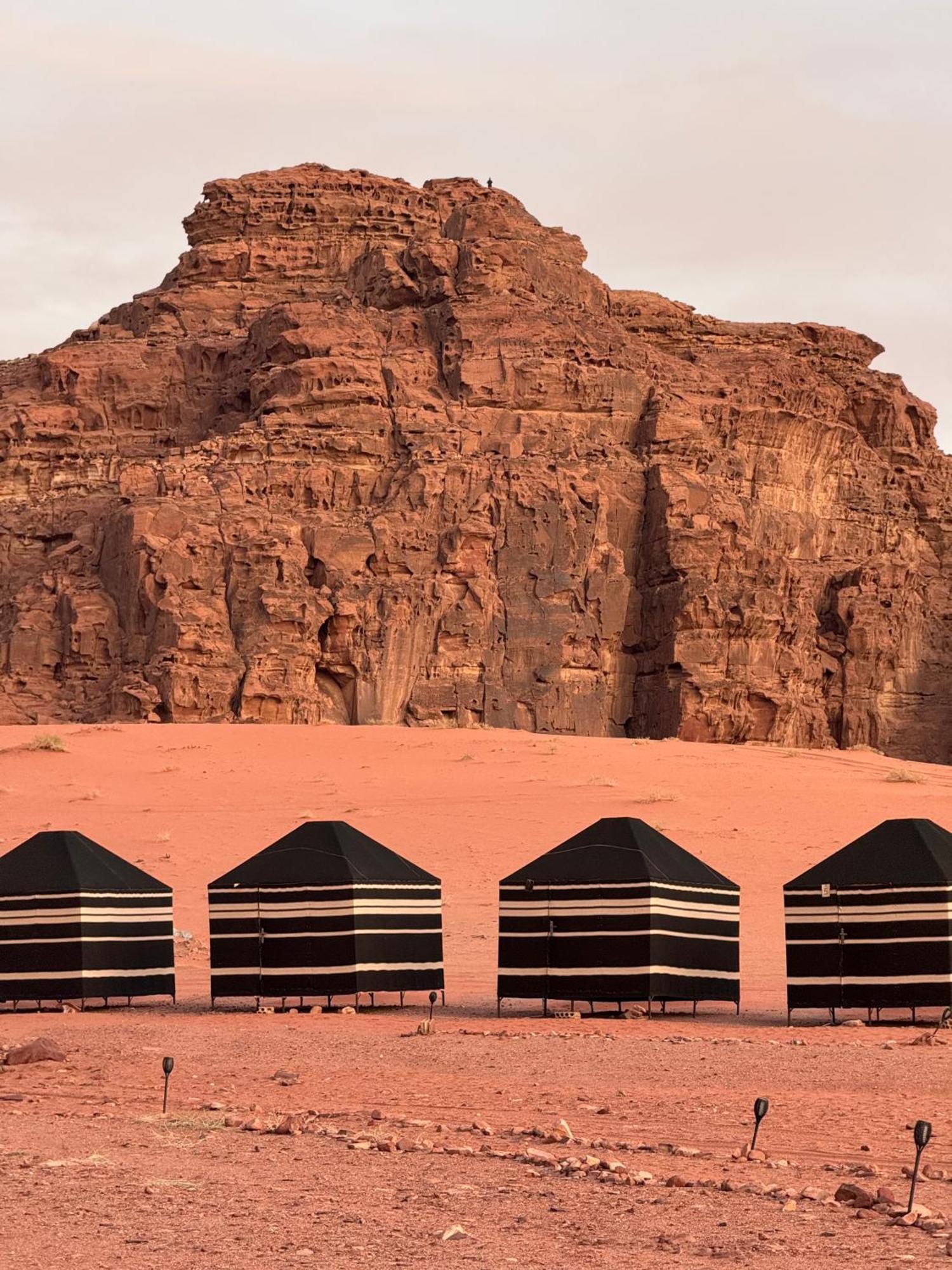 Desert Bird Camp ワディ ・ラム エクステリア 写真