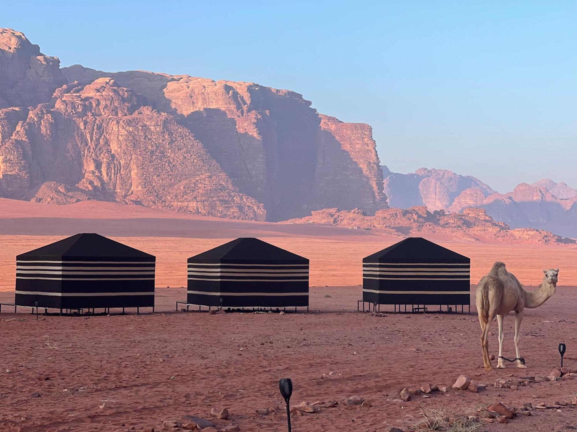 Desert Bird Camp ワディ ・ラム エクステリア 写真