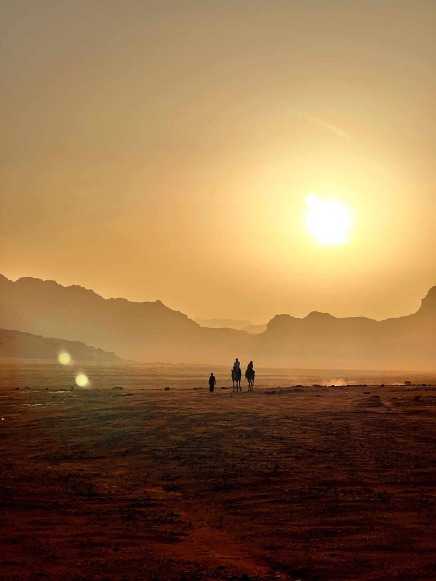 Desert Bird Camp ワディ ・ラム エクステリア 写真