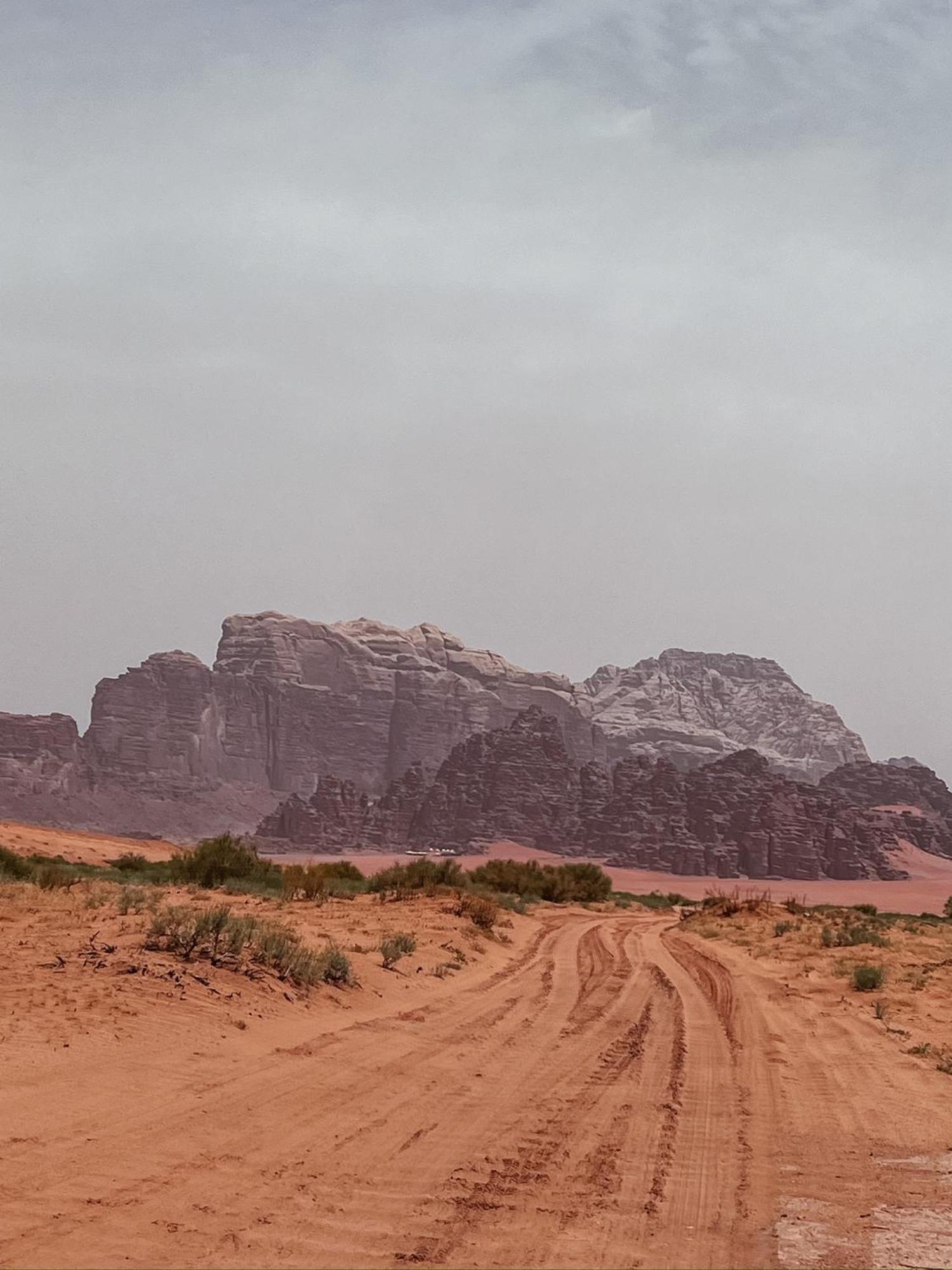 Desert Bird Camp ワディ ・ラム エクステリア 写真