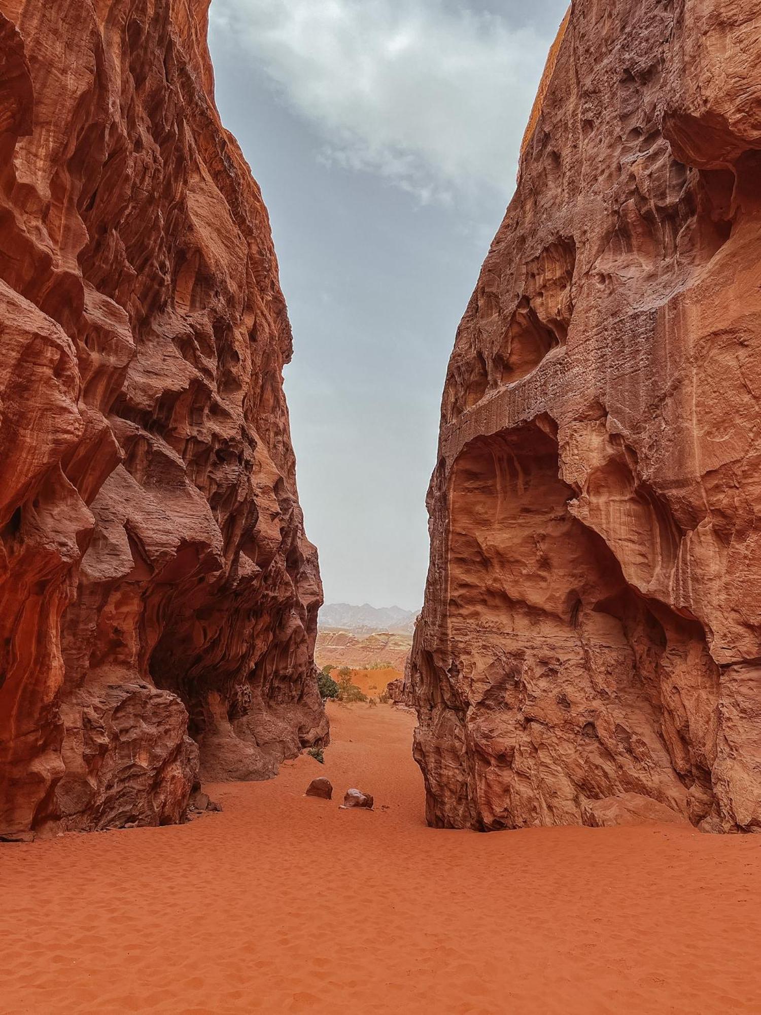 Desert Bird Camp ワディ ・ラム エクステリア 写真