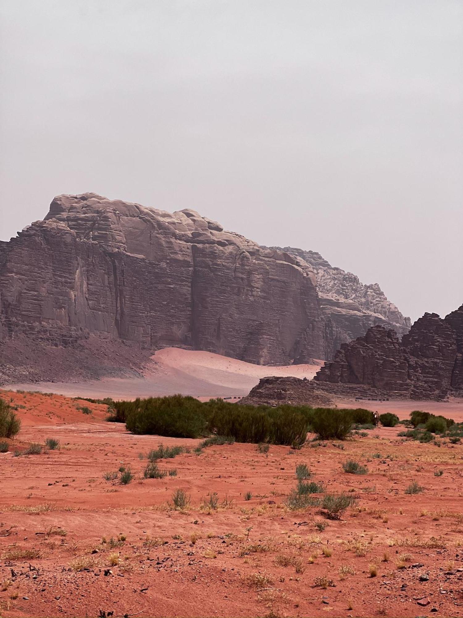 Desert Bird Camp ワディ ・ラム エクステリア 写真