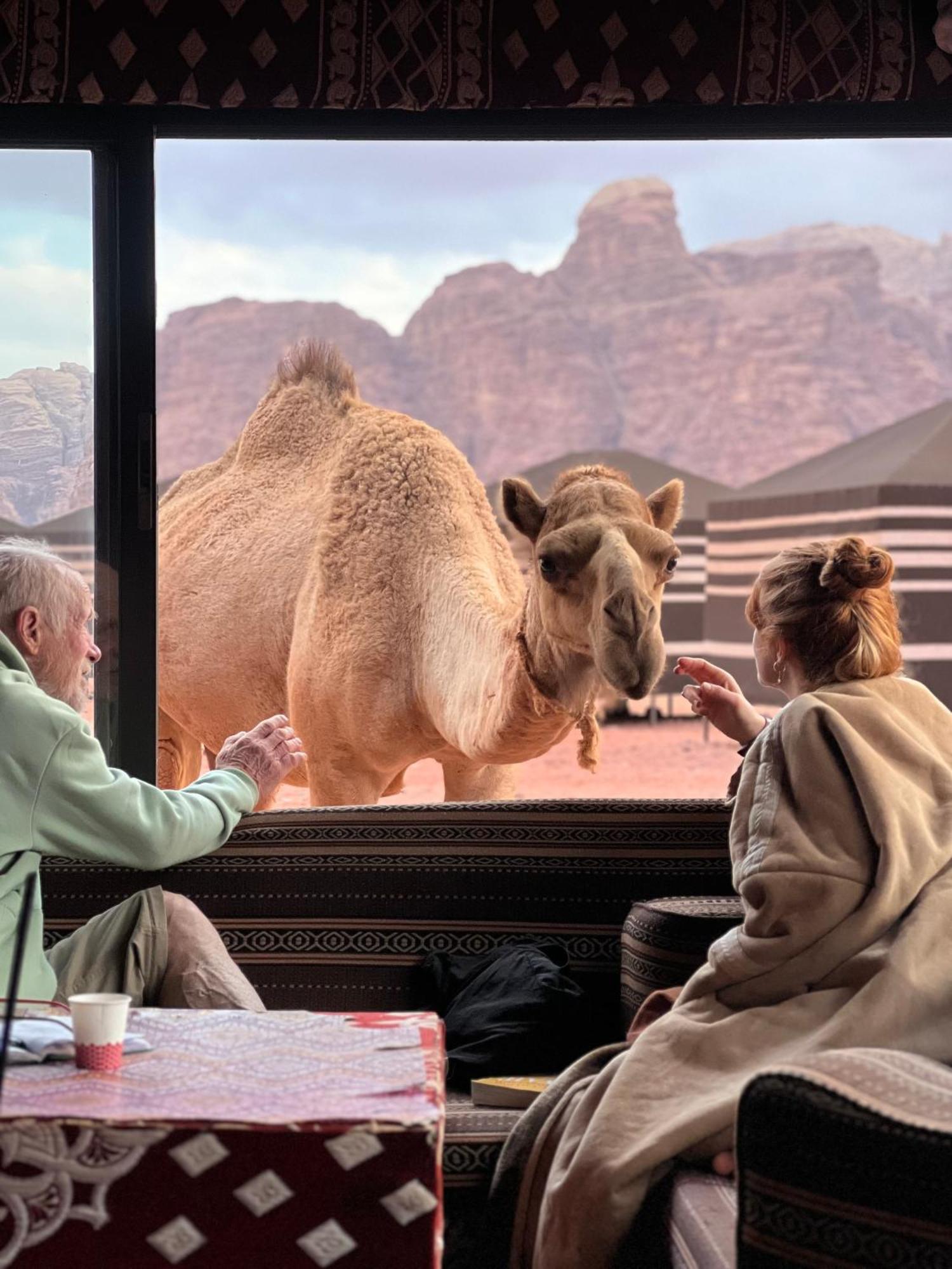 Desert Bird Camp ワディ ・ラム エクステリア 写真